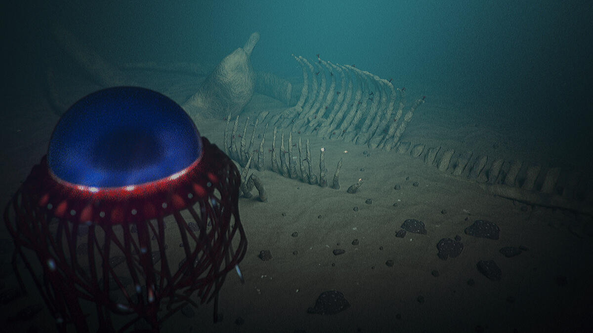 The Ocean Is Much Deeper Than We Thought