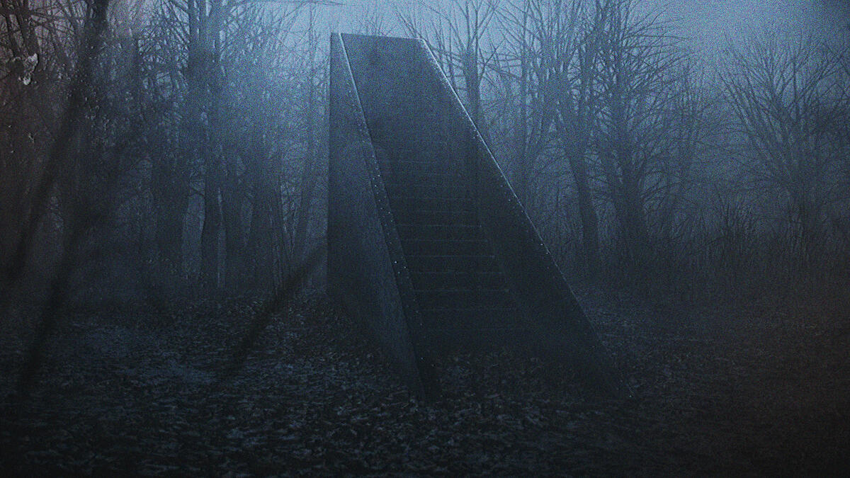 Stairs In The Woods