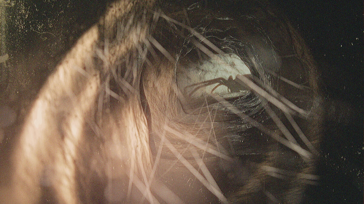 Spider Cave